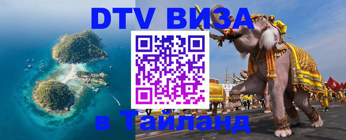 Сколько стоит DTV виза — актуальные цены, оформление даже без документов - 19.11.2025 